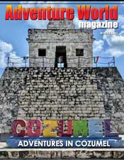 AWM Issue 46