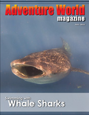 AWM Issue 48