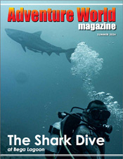 AWM Issue 53